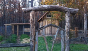 Garden, Barn, & Shed